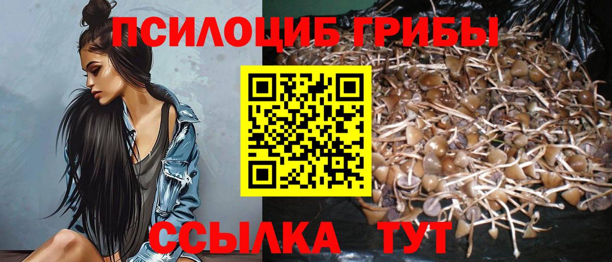 Чусовой  Вход с VPN  Альфа ПВП СОЛЬ   Магазины продажи наркотиков  Меф МЯУ МЯУ кристаллы  Канабис  ГАШ  ЭКСТАЗИ  ТГК  COCAIN  Конопля 