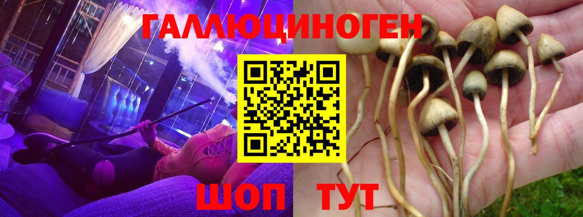 Чусовой  Псилоцибиновые грибы Magic Shrooms  Галлюциногенные грибы Cubensis  Вход с VPN 