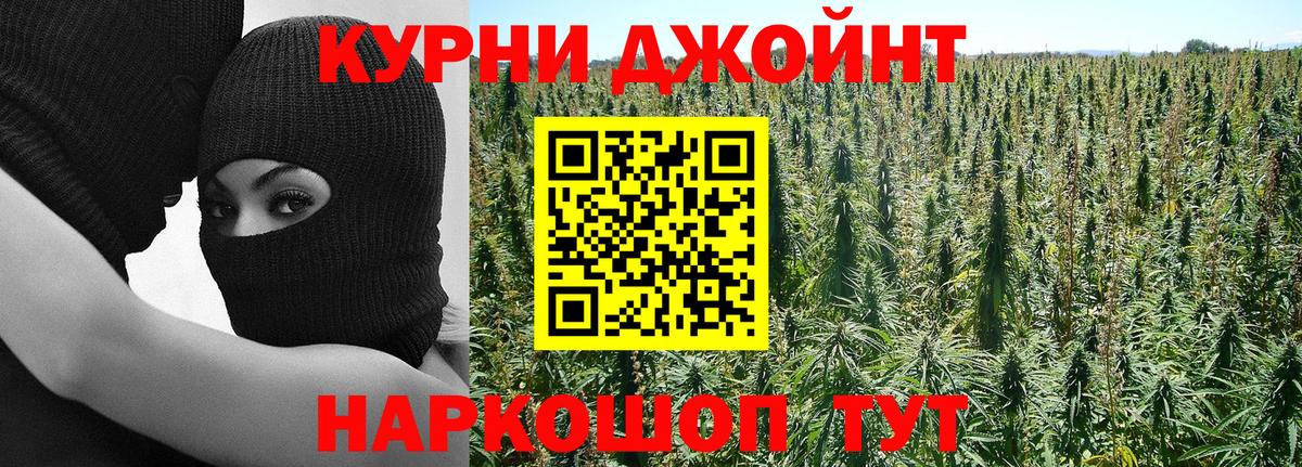 Конопля план  Марихуана Amnesia  Вход с VPN  Чусовой  Конопля OG Kush  Конопля MAZAR 